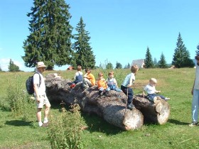 erdélyi vakáció, szállás ajánlatok
